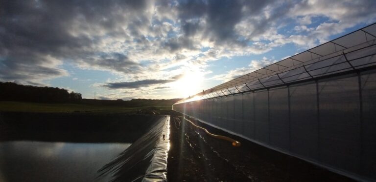 Greenhouse builder - Diamont Construction Expert Team